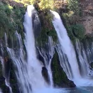 Meet your Posher, Janet